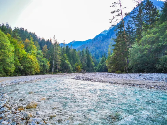 Riverbed view through a forested valley