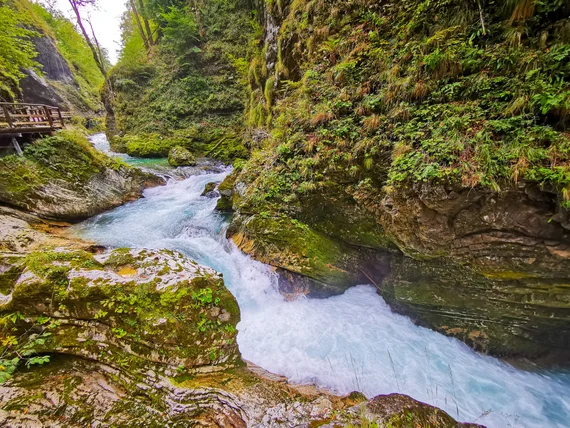 Fast river through the mossy gorge