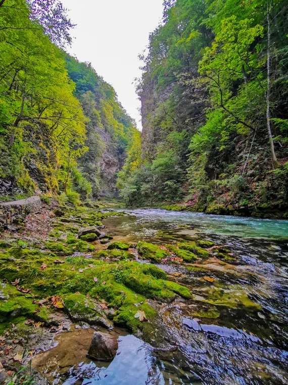 Wide gorge river with mossy rocks