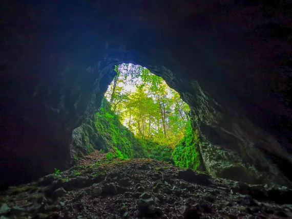Cave opening framed by bright foliage and dark rock