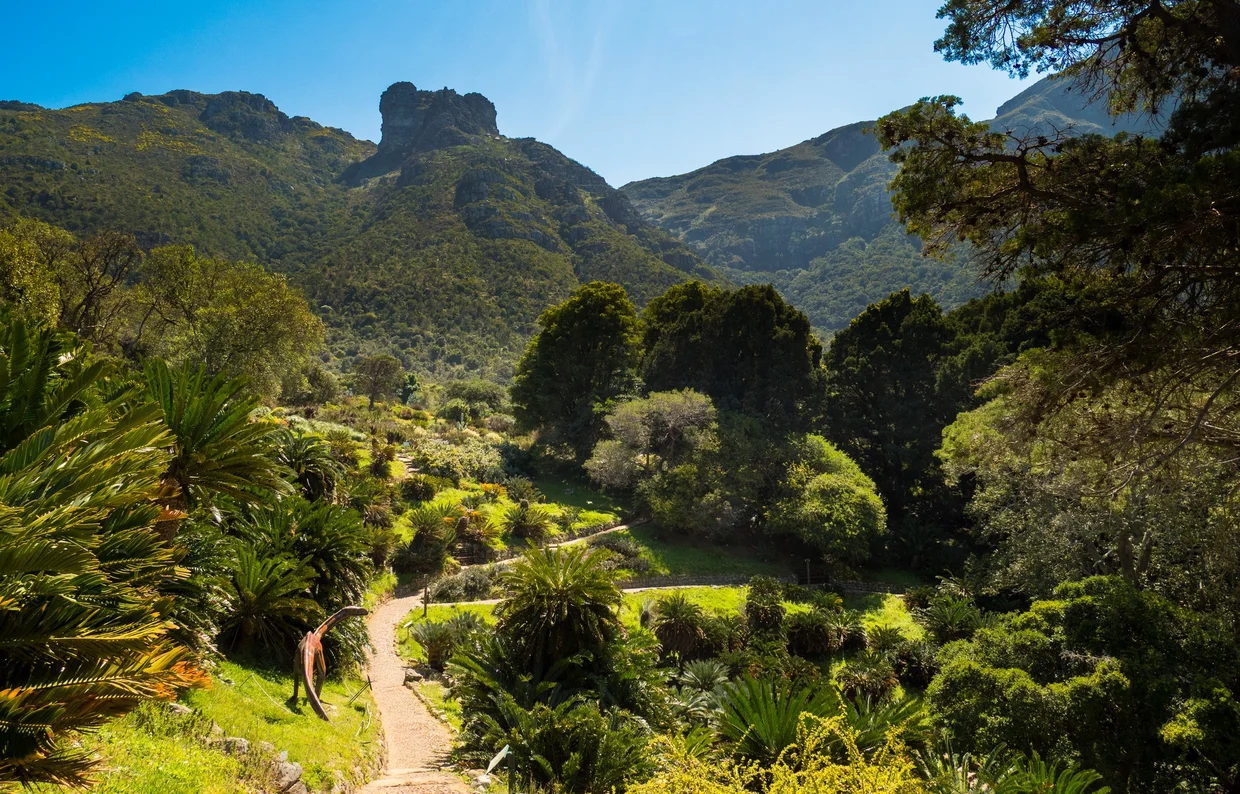 Kirstenbosch National Botanical Garden