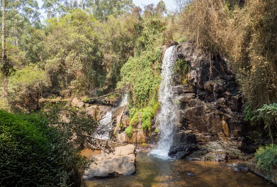 A waterfall cascading over rocks in a lush, forested setting