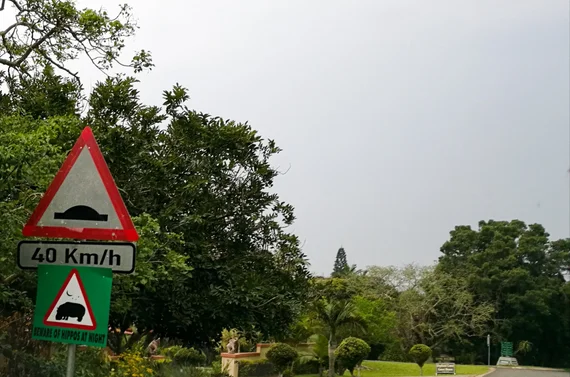 Road sign warning to beware of hippos at night