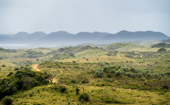 Misty green hills and a dirt road through the iSimangaliso landscape