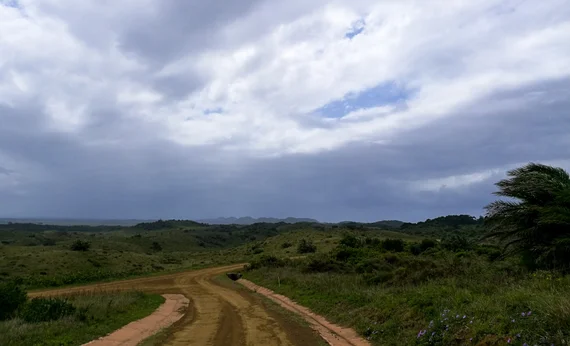 A dirt road forking through rolling green hills with storm clouds above
