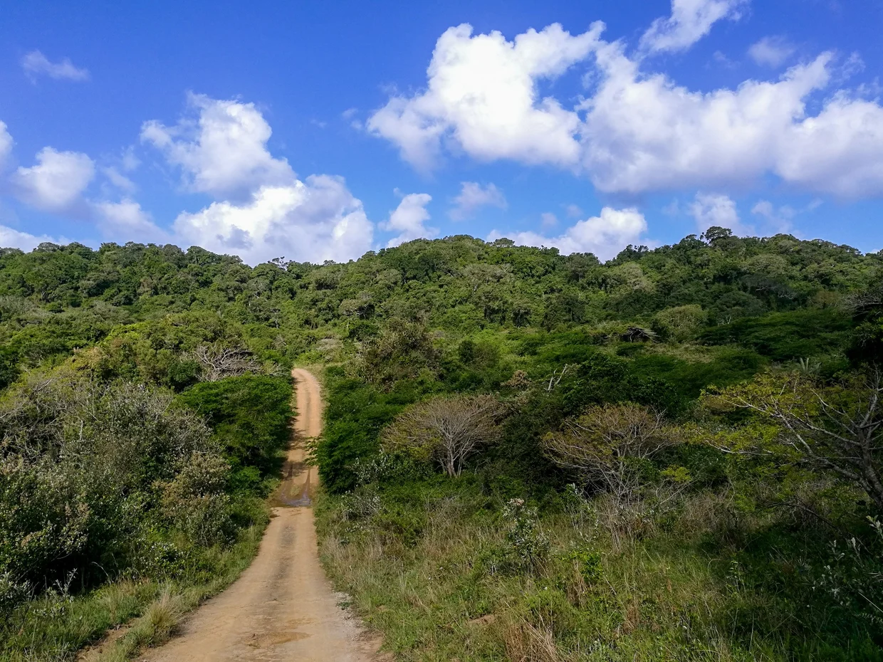 Dirt track winding through green Drakensberg hills under blue sky