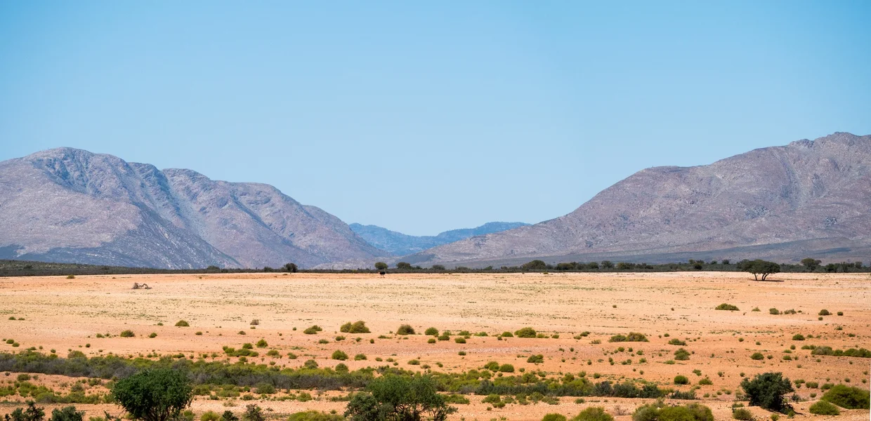 The Karoo desert stretching to distant mountains