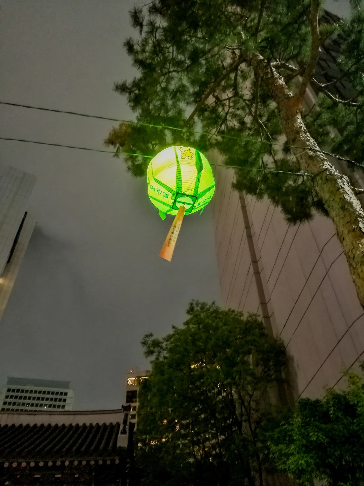 Temple lantern glowing green at night, modern building looming behind