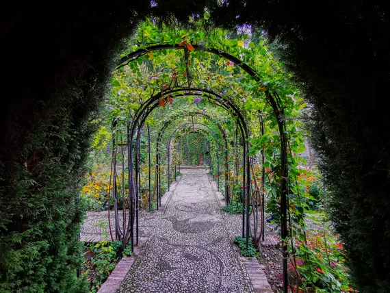 Garden archway tunnel in the Generalife