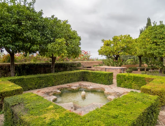 Fountain surrounded by orange trees and hedges