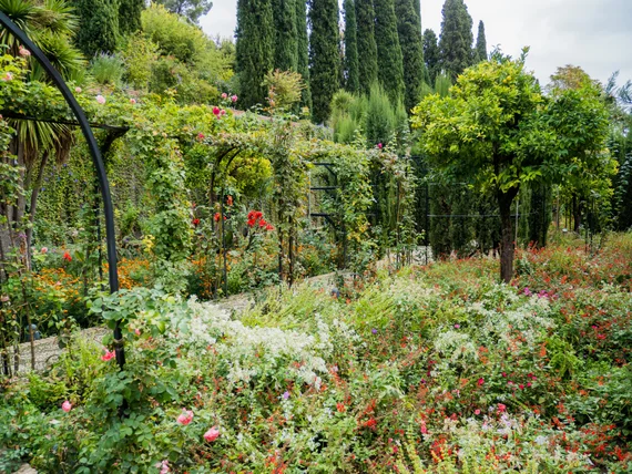 Flower garden with cypress trees