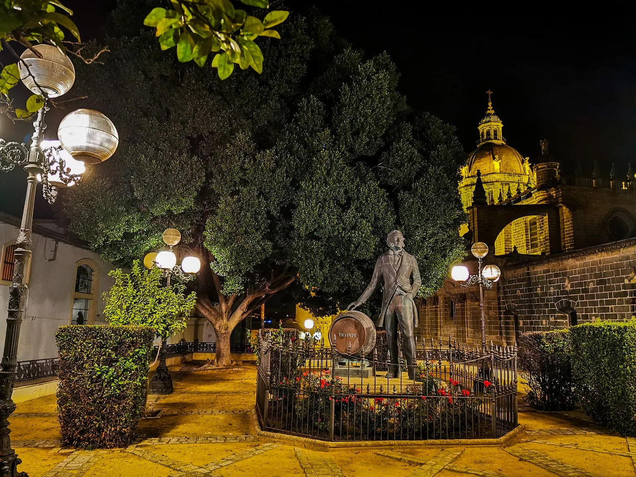Night scene in Jerez with sherry-maker statue and cathedral dome