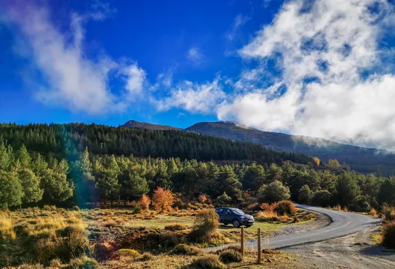 Mountain road through autumn forest