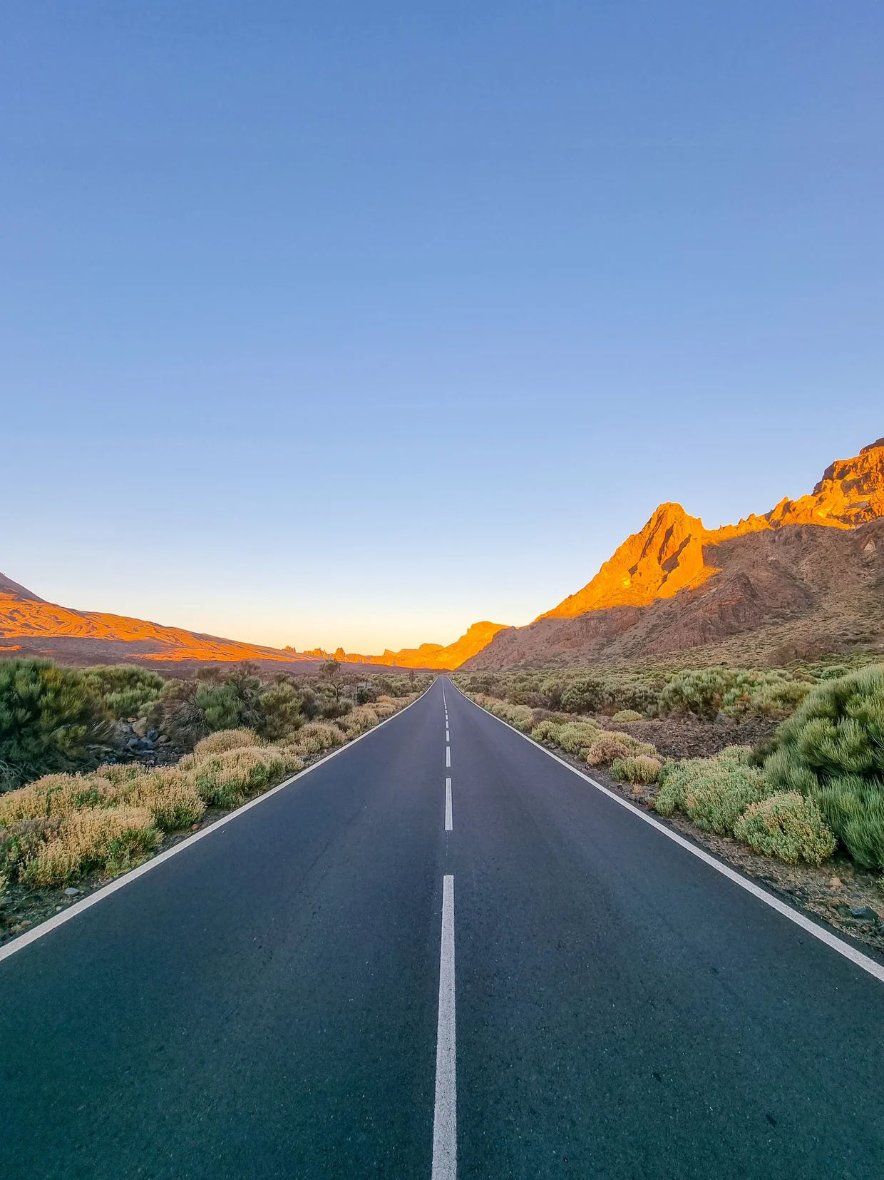 Straight road through Teide National Park at sunset, golden light on jagged rock formations