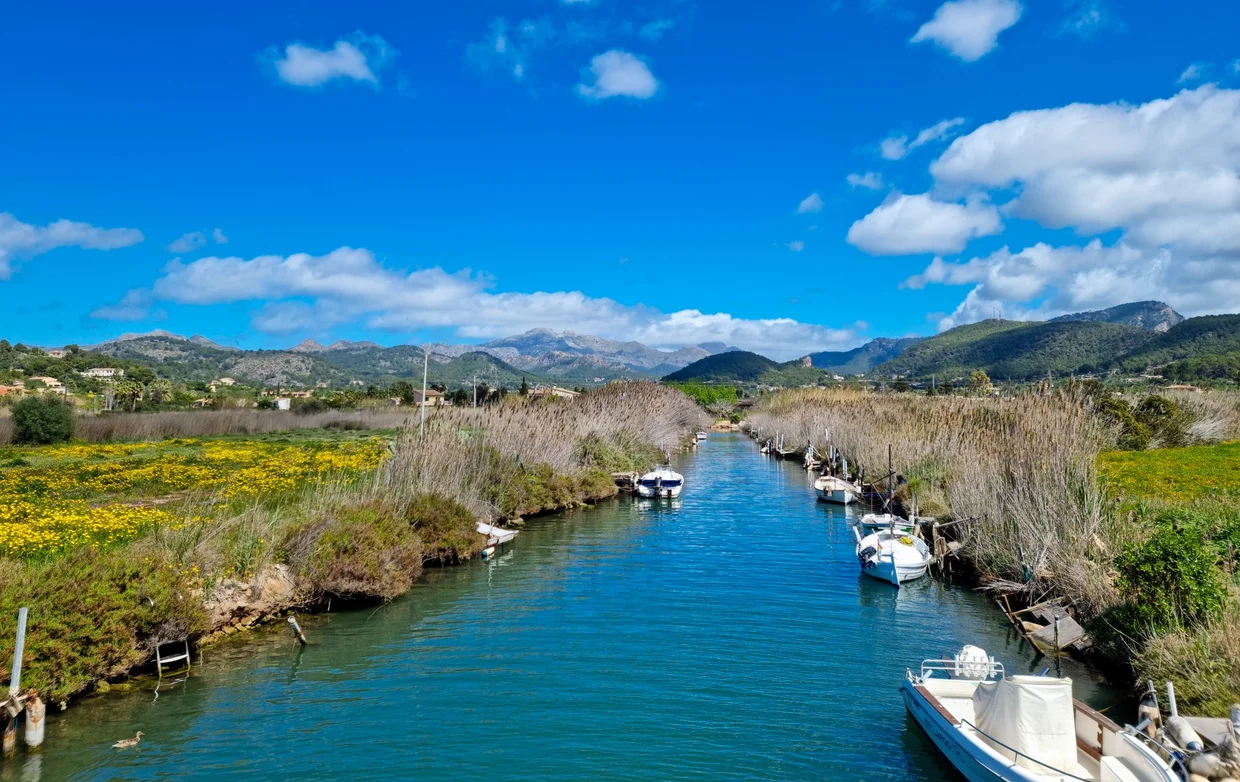 Canal with boats and wildflowers, Serra de Tramuntana in the background