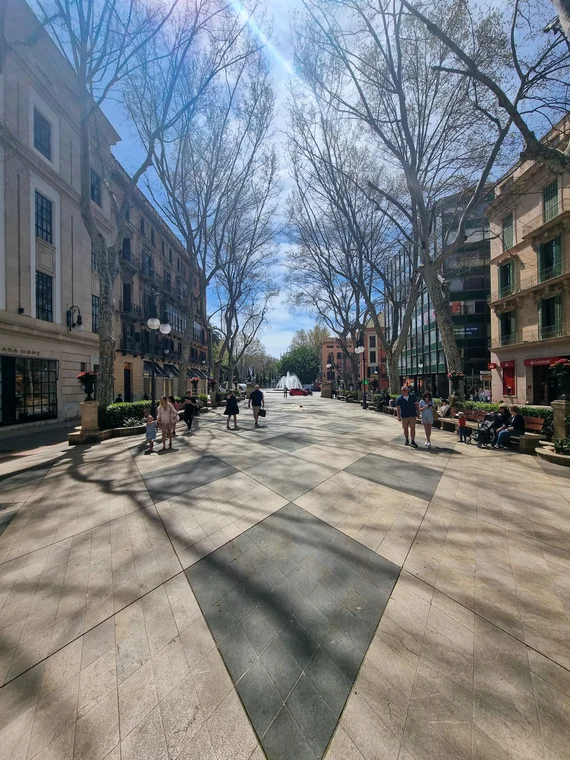 Passeig del Born, Palma's tree-lined boulevard