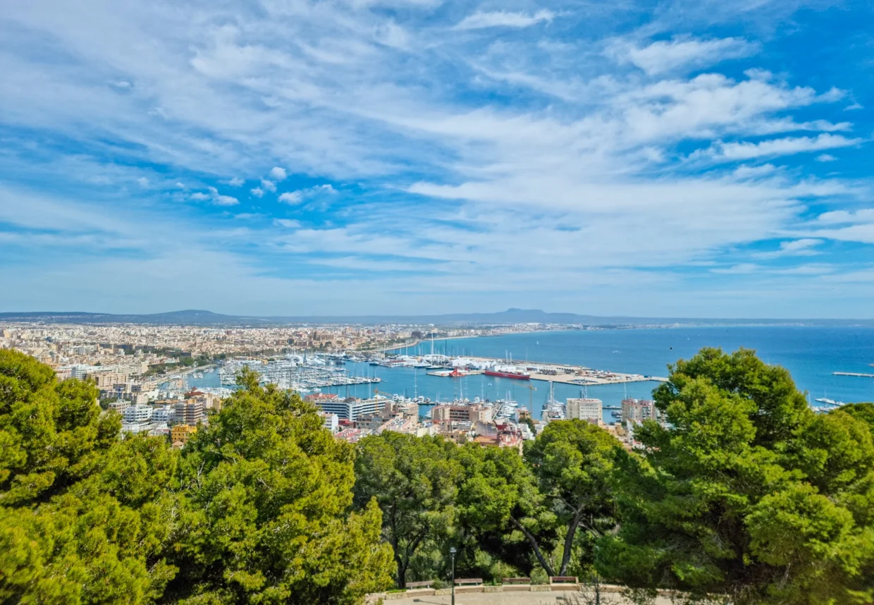 Panoramic view of Palma, the harbor, and the bay from Castell de Bellver