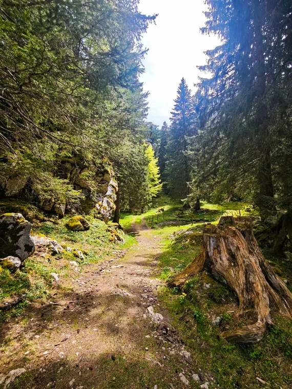 Switzerland