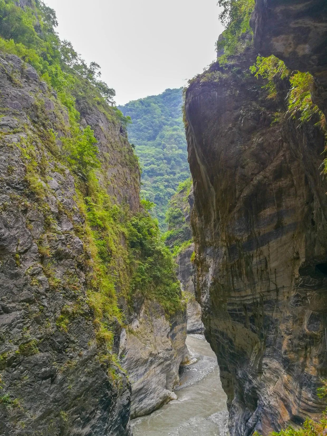 The gorge at its narrowest, near Swallow Grotto