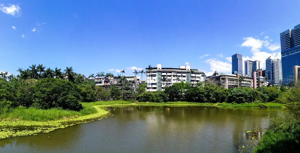 The pond and greenery in the middle of the creative park