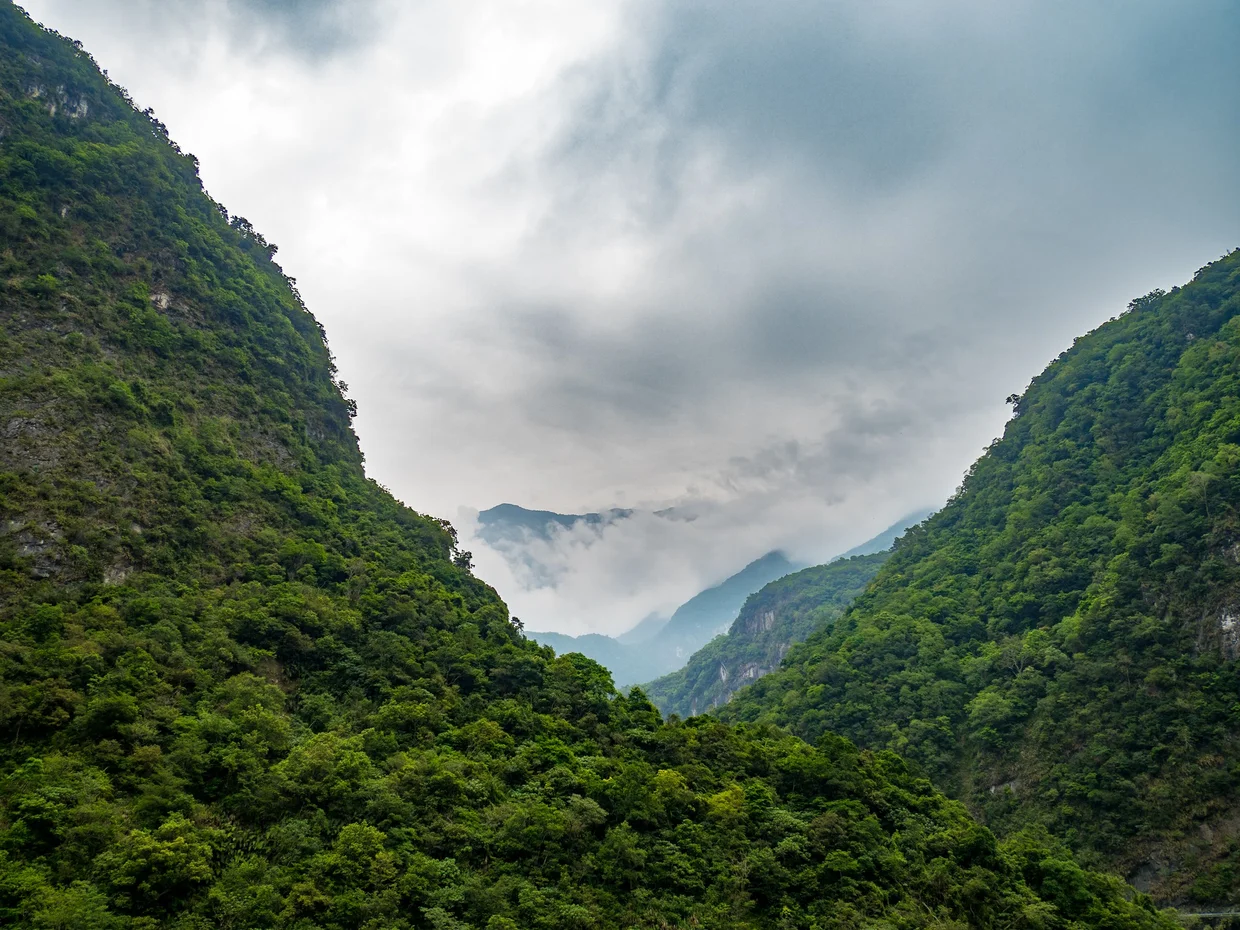 A deep green valley view from one of the lookout points