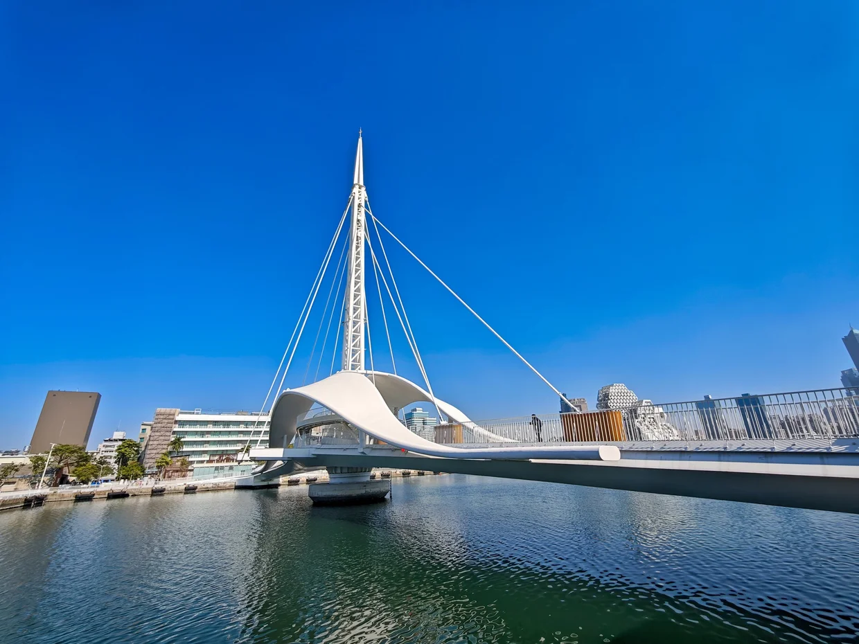 The Great Harbor Bridge curving over the water