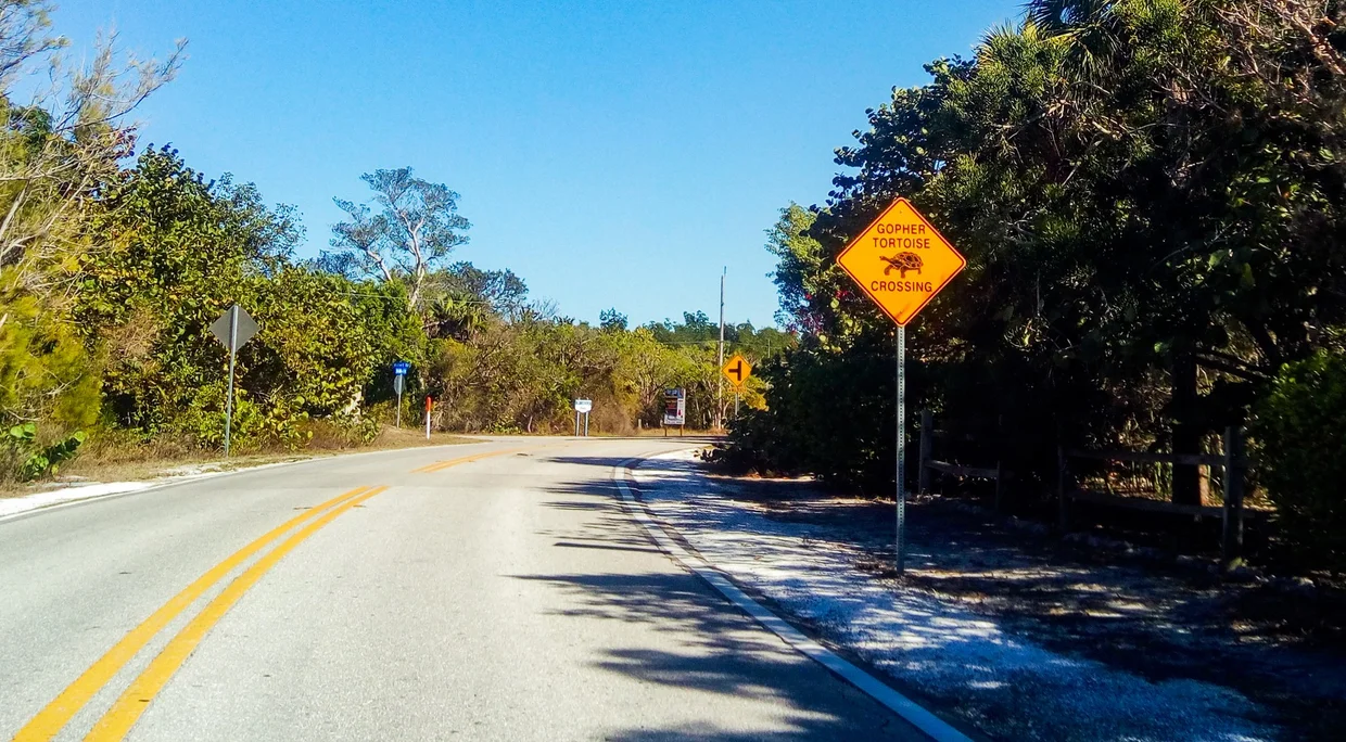Tortoise crossing sign on a Keys road