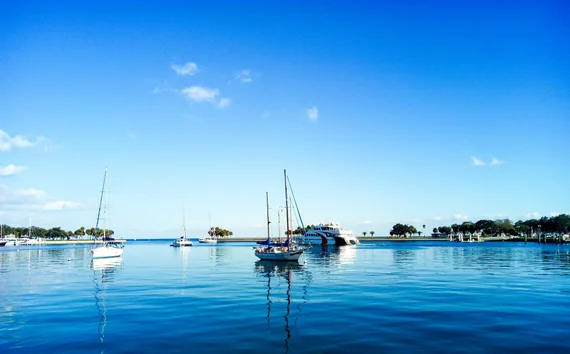 Sailboats in the bay