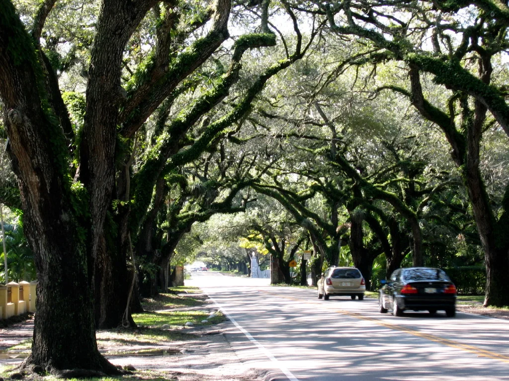 Miami Coconut Grove 1