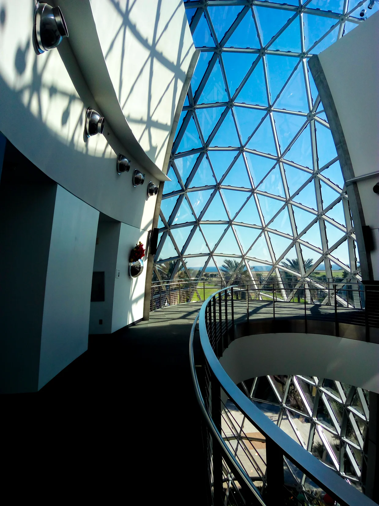 The Dali Museum