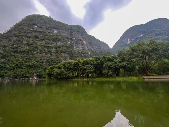 Shoreline trees beneath limestone mountains along the Trang An boat route